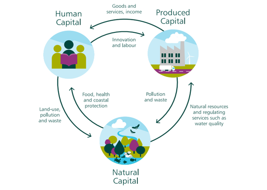 Figure 12 The relationship between different types of Capital. Source: The Dasgupta Review, 2021