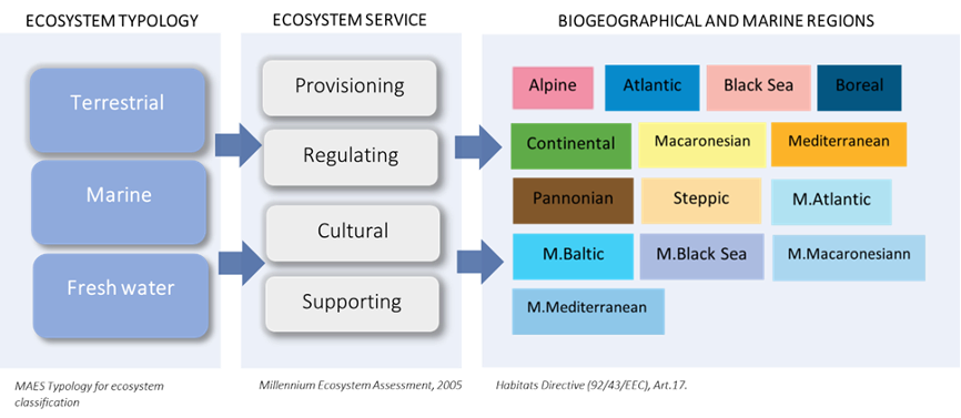 Figure 17 Mapping of Ecosystems Typology to Services across Biogeographical regions