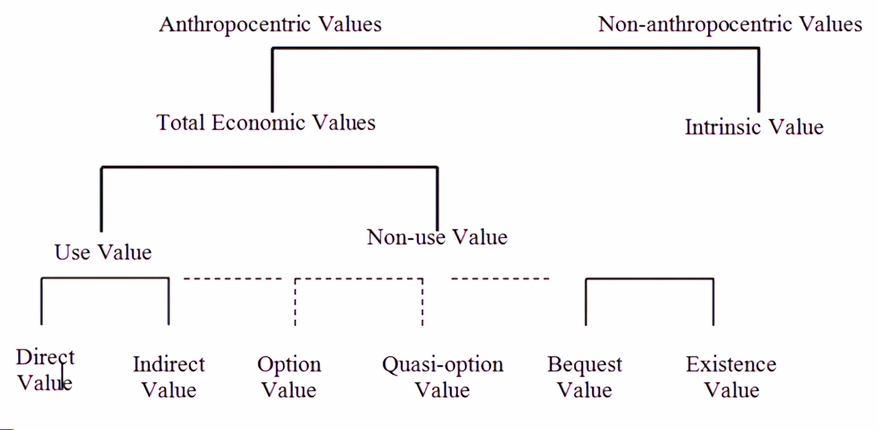 Figure 18 Categorization of Environmental values